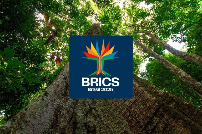 Cúpula do BRICS será no Rio de Janeiro, em 6 e 7 de julho